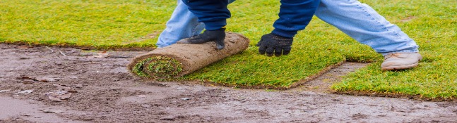 How to Lay Sod in the Fall like a Pro | Ranchers Fencing & Landscaping